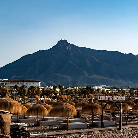 Fantastic In Puerto Banus *